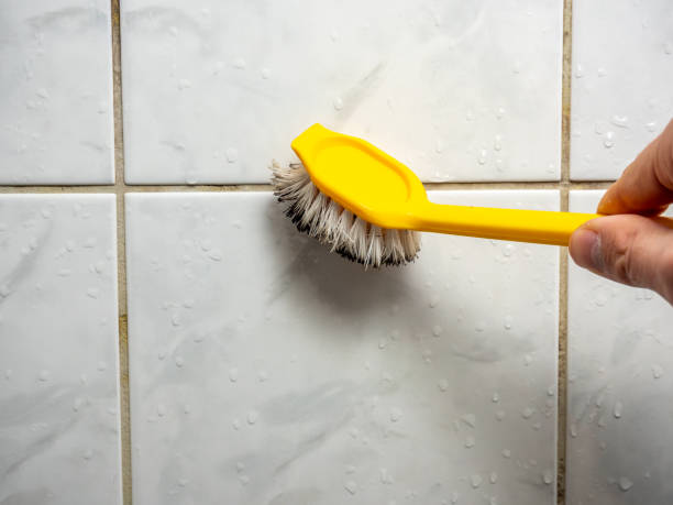 Best Residential Mold Remediation in Pittsfield, MA