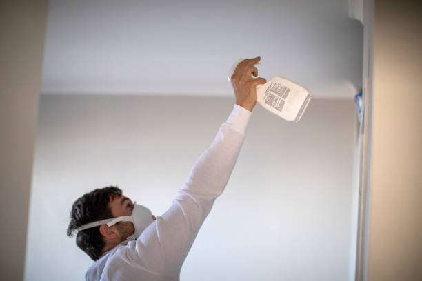 Best Industrial Mold Remediation in Pittsfield, MA