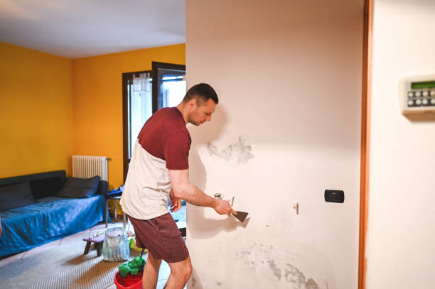 Best Insurance-Related Mold Remediation in Pittsfield, MA